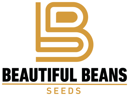 BB Seeds