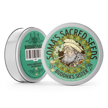 Buddha's Sister strain