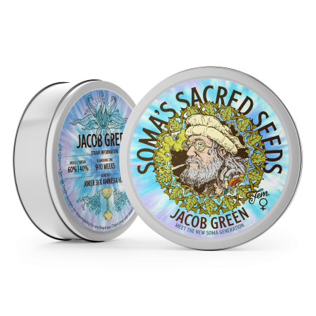 Jacob Green strain