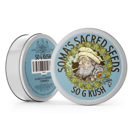 So G Kush strain