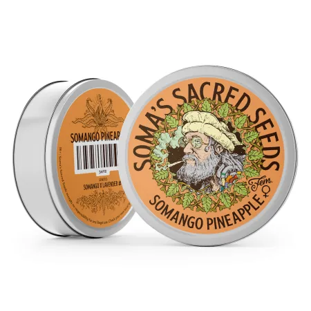 Somango Pineapple Autoflower strain