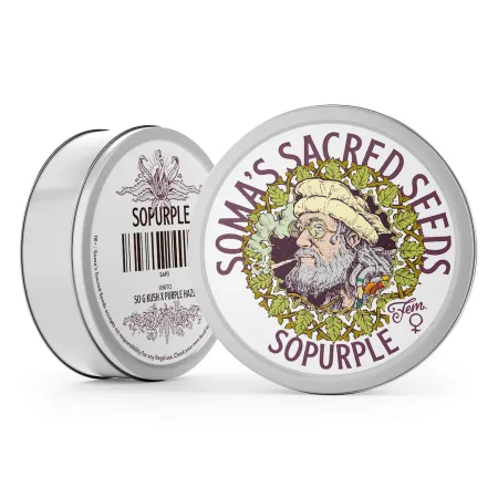 SoPurple strain